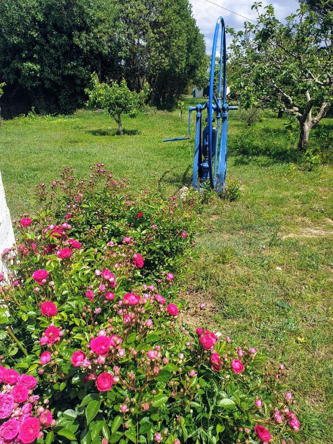 Sondela Self Catering Lägenhet São Martinho do Porto Exteriör bild