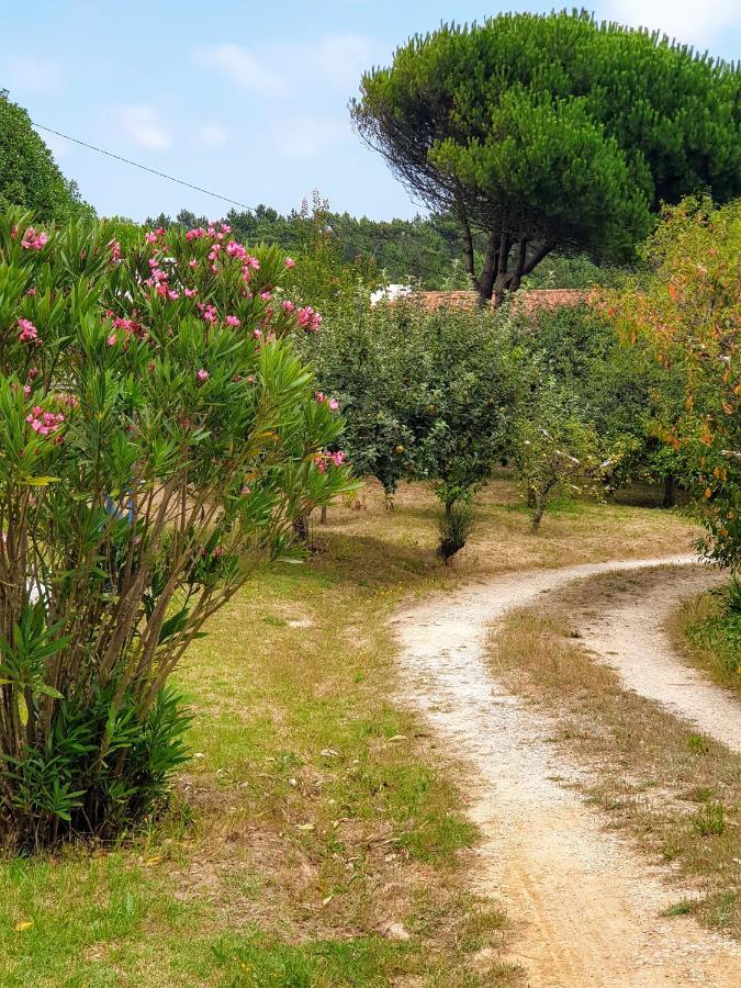 Sondela Self Catering Lägenhet São Martinho do Porto Exteriör bild