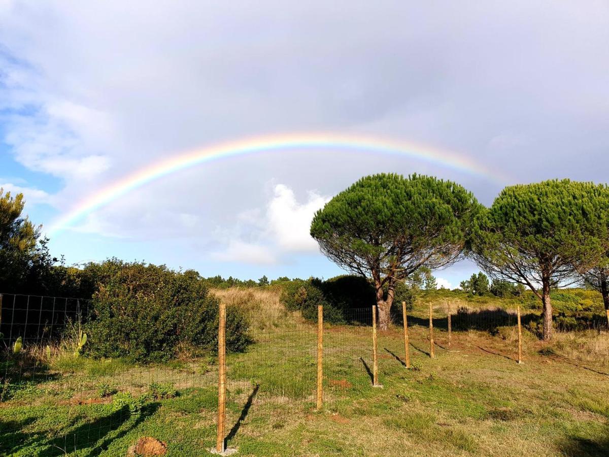 Sondela Self Catering Lägenhet São Martinho do Porto Exteriör bild