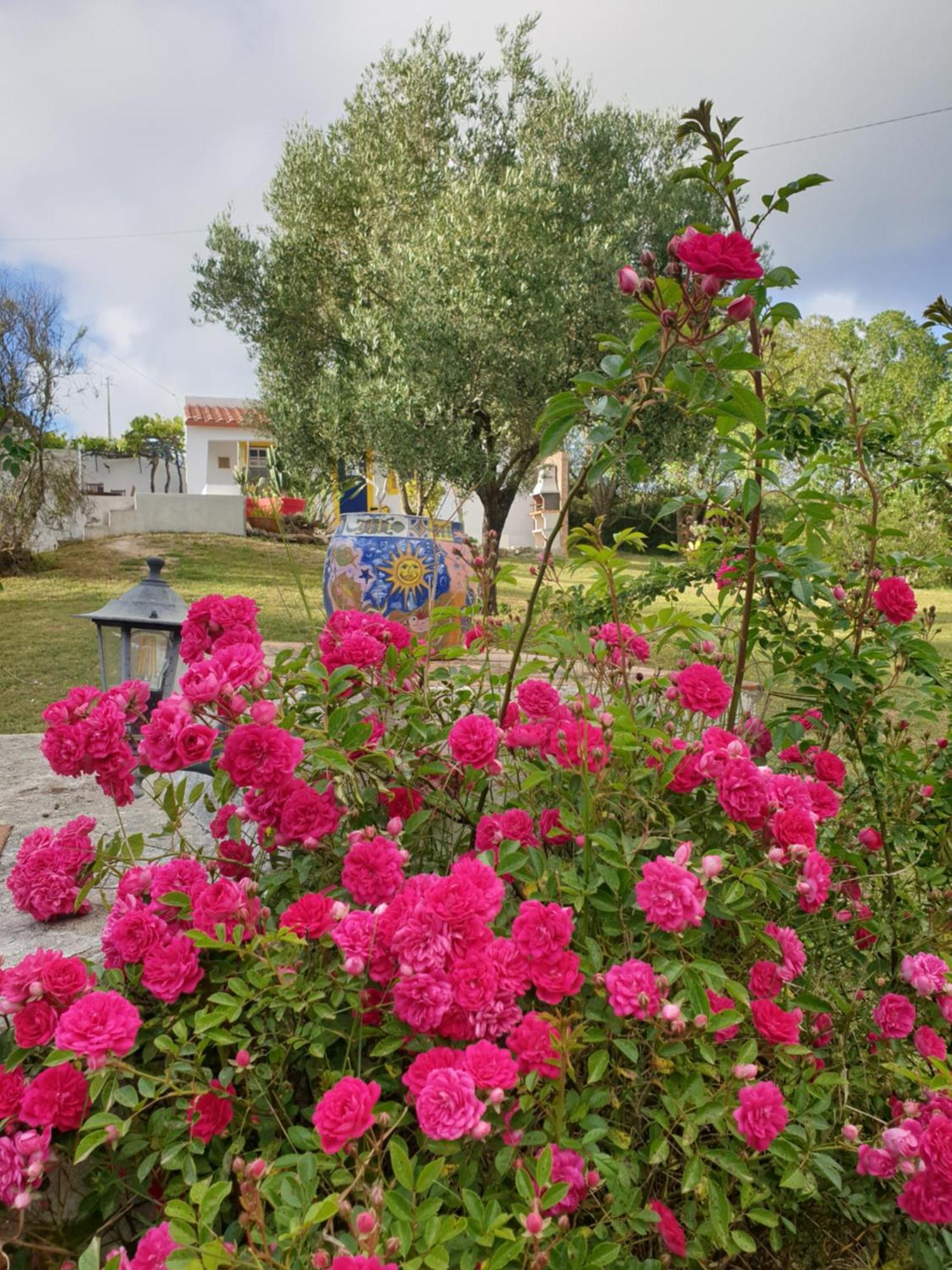 Sondela Self Catering Lägenhet São Martinho do Porto Exteriör bild
